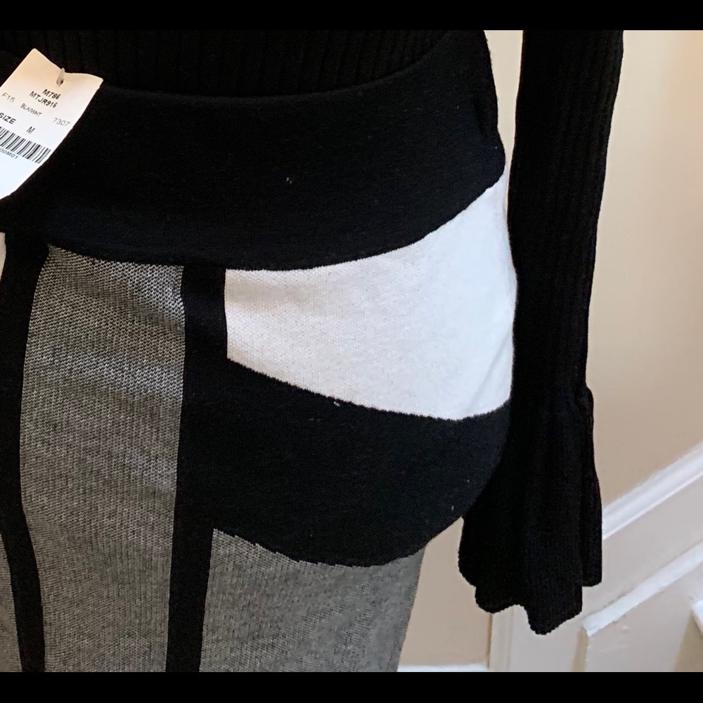 Fashionova Pencil Skirt